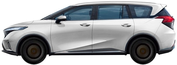 Minivan (2019-2024)